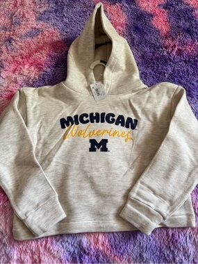 Rivalry Threads Michigan Wolverines Hoodie